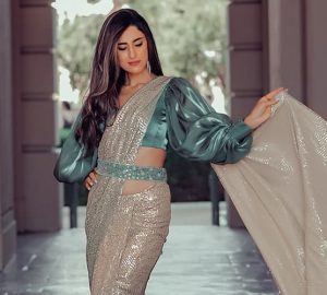 Sequin Sarees for Your Slew of Parties And Festivities