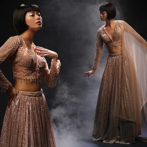 Full-sleeve Lehengas- First Thing To Catch Your Attention This Winter