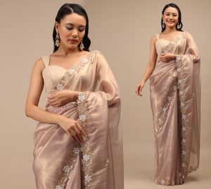 Tissue Printed Sarees: A Fusion of Tradition and Contemporary Fashion