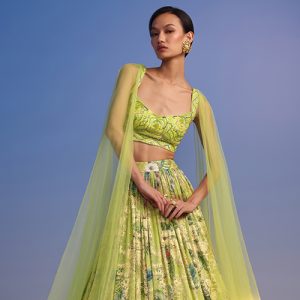 8 Envy-Inducing Green Navratri Lehenga Choli Outfits