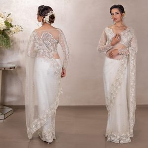 Fallen Pallu Drape – Master the Timeless Drape to Perfection