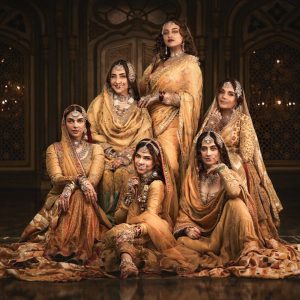 Heeramandi Inspired Anarkalis, Lehenga and Sarees for Under A Budget