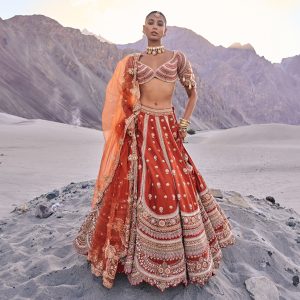 Mixing Traditional and Modern: Innovative Lehenga Choli Designs