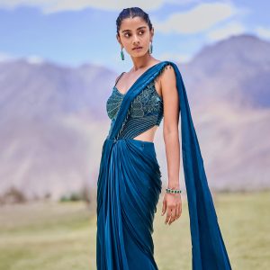 Saree Gown