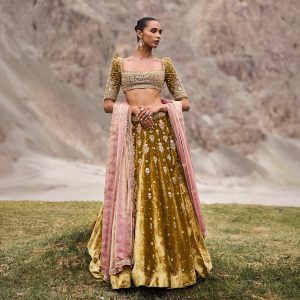 Designer Lehenga