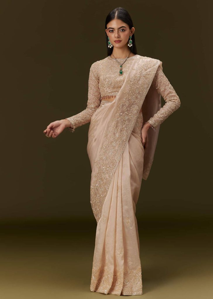 Beige Ivory Tissue Saree With Velvet Embroidered Blouse