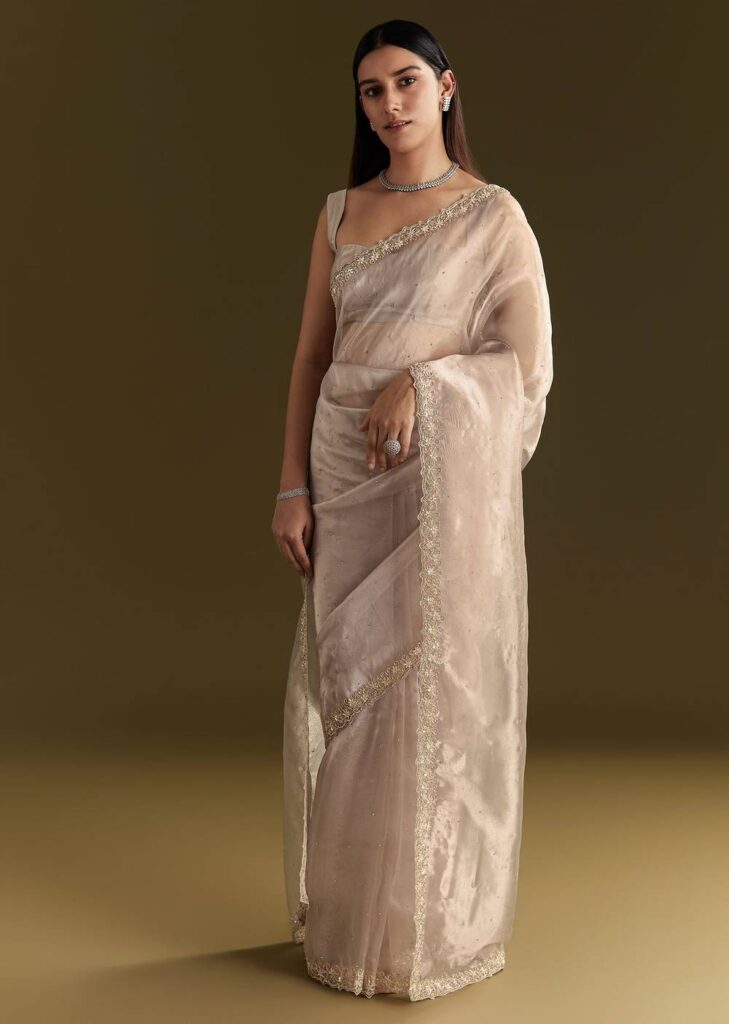 Grey Organza Embroidered Saree With Scallop Border
